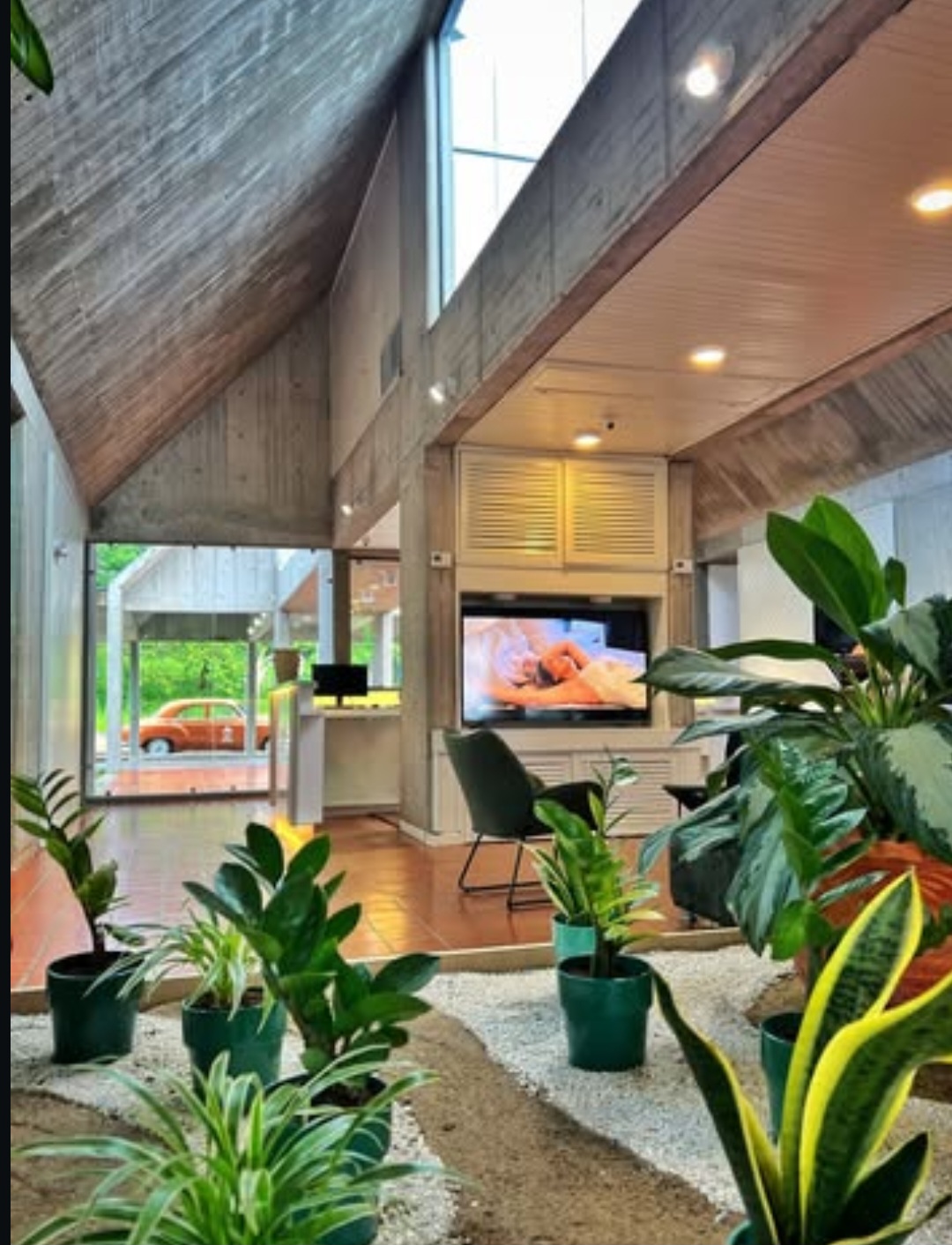 Imagen del alojamiento