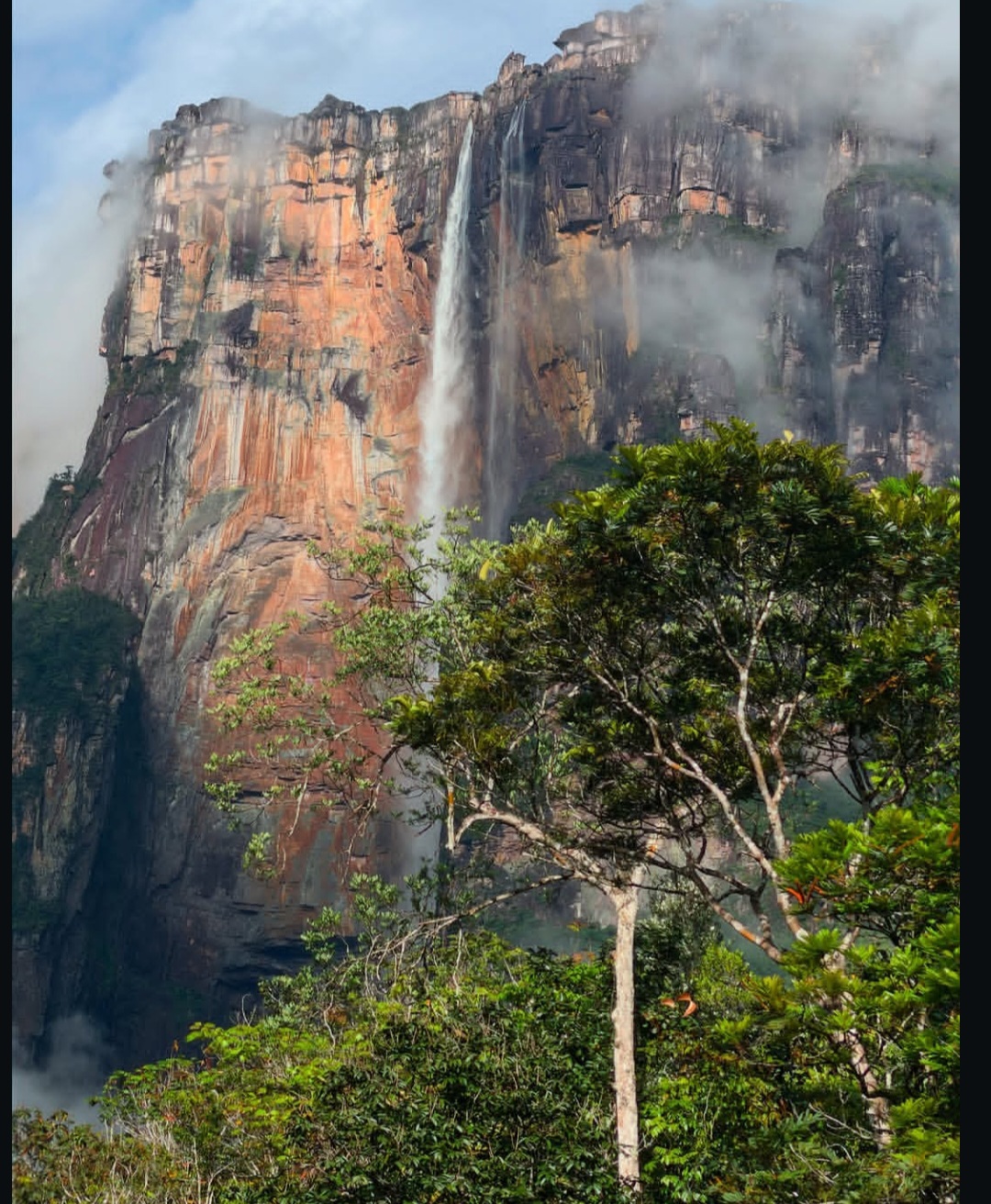 Imagen del alojamiento