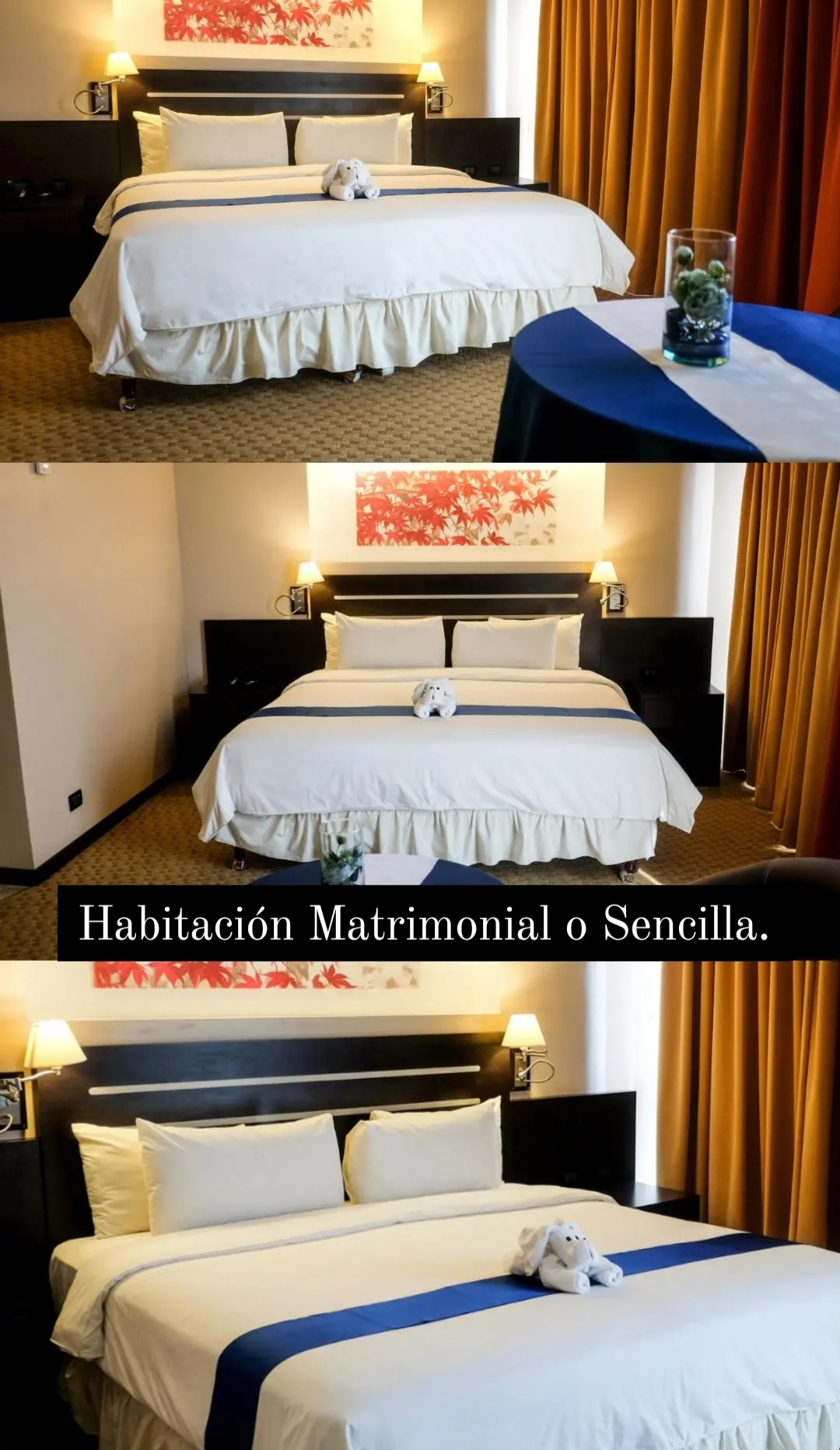 Imagen del alojamiento