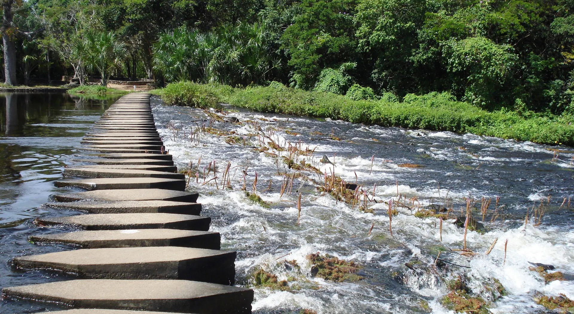 Imagen del sitio